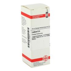 LEDUM D 4 Dilution (PZN 01776613)