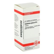 GALPHIMIA GLAUCA D 6 Tabletten (PZN 02114630)