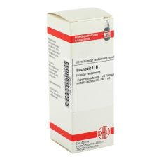 LACHESIS D 6 Dilution (PZN 02102992)