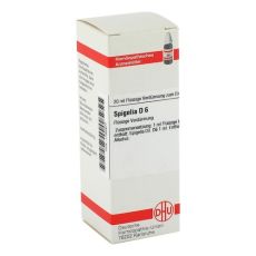 SPIGELIA D 6 Dilution (PZN 01785977)