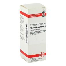 RHUS TOXICODENDRON D 4 Dilution (PZN 01783582)