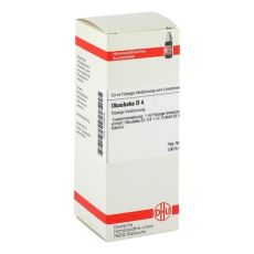 OKOUBAKA D 4 Dilution (PZN 02103879)