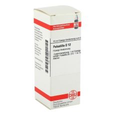 PULSATILLA D 12 Dilution (PZN 02104554)