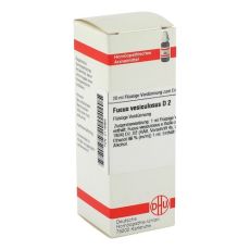 FUCUS VESICULOSUS D 2 Dilution (PZN 02116965)