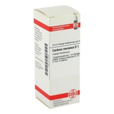 CARDUUS MARIANUS D 1 Dilution (PZN 02117870)