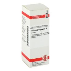 SOLIDAGO VIRGAUREA Urtinktur (PZN 02123215)