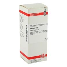 BERBERIS D 3 Dilution (PZN 02126248)