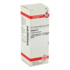 CACTUS D 1 Dilution (PZN 02125579)