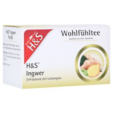 H&S Ingwer Filterbeutel (PZN 06582405)