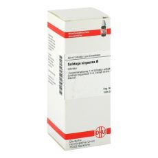 SOLIDAGO VIRGAUREA Urtinktur (PZN 02123184)