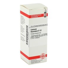 CALCIUM FLUORATUM D 12 Dilution (PZN 02126082)