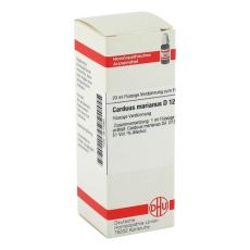 CARDUUS MARIANUS D 12 Dilution (PZN 02610062)