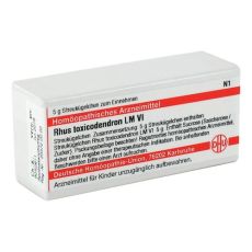 LM RHUS toxicodendron VI Globuli (PZN 02659950)