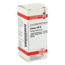 LM SILICEA VI Dilution (PZN 02669121)