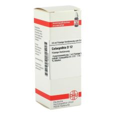 COLOCYNTHIS D 12 Dilution (PZN 02806405)