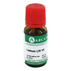 LEDUM LM 6 Dilution (PZN 02602631)
