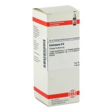 ECHINACEA HAB D 6 Dilution (PZN 02802229)
