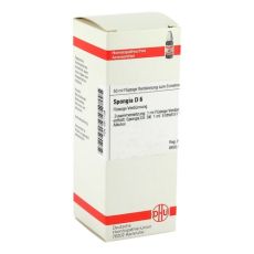 SPONGIA D 6 Dilution (PZN 02811139)