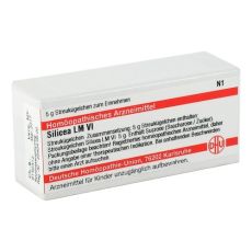 LM SILICEA VI Globuli (PZN 02660048)