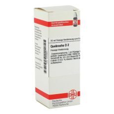 QUEBRACHO D 2 Dilution (PZN 02806664)