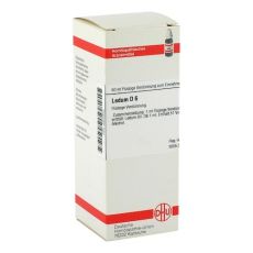 LEDUM D 6 Dilution (PZN 02802844)