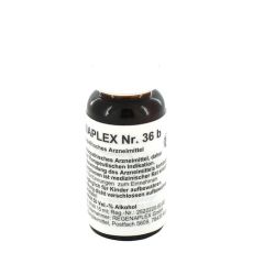 REGENAPLEX Nr.36 b Tropfen (PZN 02642501)
