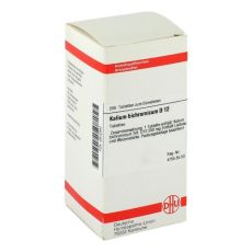 KALIUM BICHROMICUM D 12 Tabletten (PZN 02812340)