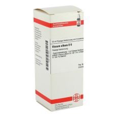 VISCUM ALBUM D 6 Dilution (PZN 02811501)