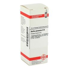 BELLIS PERENNIS D 6 Dilution (PZN 02608438)