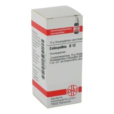 COLOCYNTHIS D 12 Globuli (PZN 02897158)