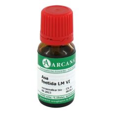 ASA FOETIDA LM 6 Dilution (PZN 03503664)