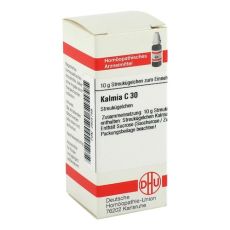 KALMIA C 30 Globuli (PZN 02925788)