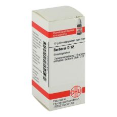 BERBERIS D 12 Globuli (PZN 02812914)