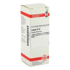 LEDUM D 12 Dilution (PZN 02926090)