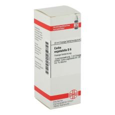 CARBO VEGETABILIS D 6 Dilution (PZN 02889130)