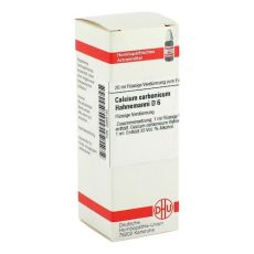 CALCIUM CARBONICUM Hahnemanni D 6 Dilution (PZN 02889182)