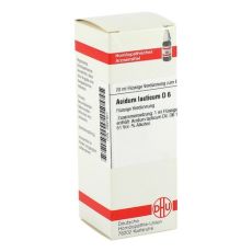 ACIDUM LACTICUM D 6 Dilution (PZN 02891931)