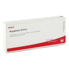 HYPOPHYSIS GL D 12 Ampullen (PZN 03357010)