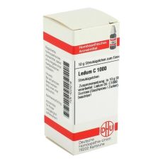 LEDUM C 1000 Globuli (PZN 04224216)