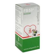 FS 53 Dr.Siegerth H flüssig (PZN 04202433)