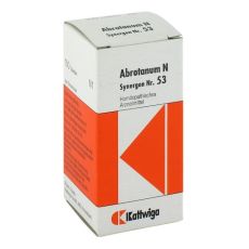 SYNERGON KOMPLEX 53 Abrotanum N Tabletten (PZN 04905146)
