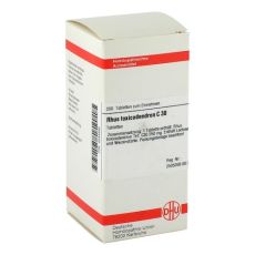 RHUS TOXICODENDRON C 30 Tabletten (PZN 04234456)