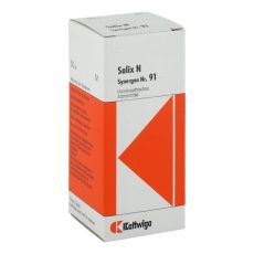 SYNERGON KOMPLEX 91 Salix N Tropfen (PZN 04905643)