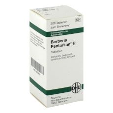 BERBERIS PENTARKAN H Tabletten (PZN 08534652)