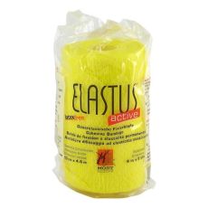 ELASTUS Active Bandage 4,6x10 cm (PZN 07524605)