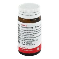 ROBINIA COMP.Globuli (PZN 08787413)