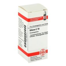 SILICEA C 10 Globuli (PZN 04992174)