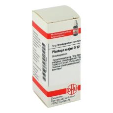 PLANTAGO MAJOR D 12 Globuli (PZN 07177440)