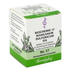 BIOCHEMIE 17 Manganum sulfuricum D 6 Tabletten (PZN 04324863)