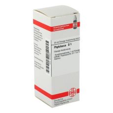PHYTOLACCA D 1 Dilution (PZN 00976451)